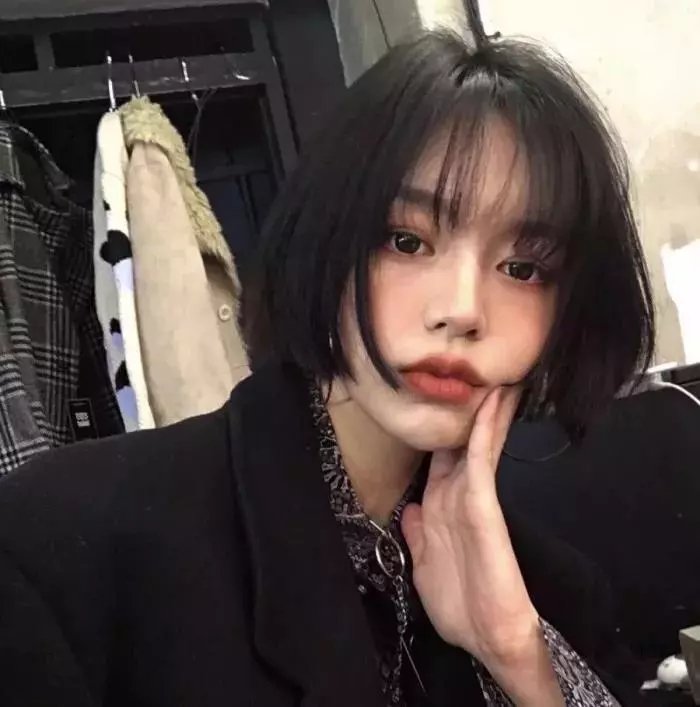 极地爱恋